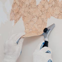 Wallpaper Installation & Removal